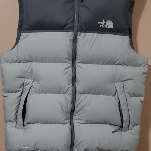 The North Face Other - The North Face puffer